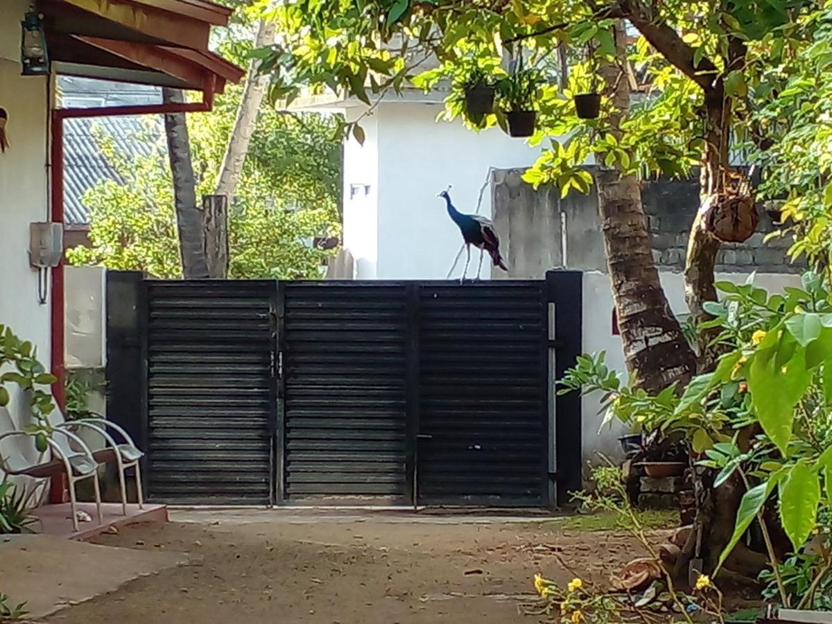 4Ty Two Homestay Galle Εξωτερικό φωτογραφία