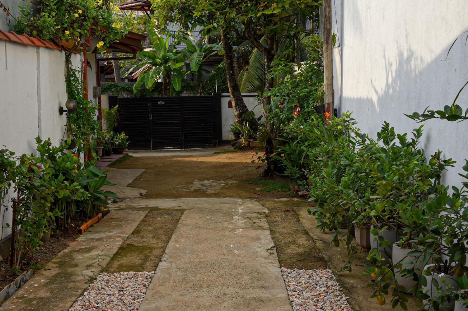 4Ty Two Homestay Galle Εξωτερικό φωτογραφία