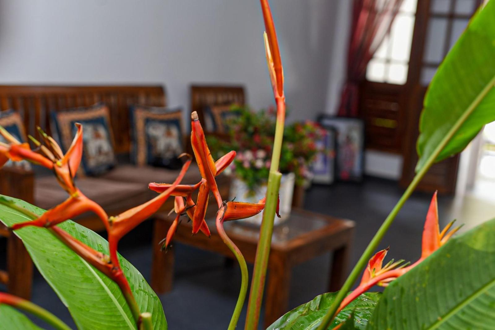 4Ty Two Homestay Galle Εξωτερικό φωτογραφία